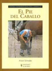 el pie del caballo