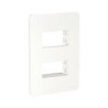 Placa armada con 2 interruptores Blanco Orion