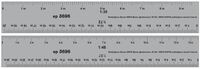 Paper Scale Rulers