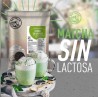 Big Train Matcha Sin Lactosa