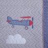 Avión Vintage