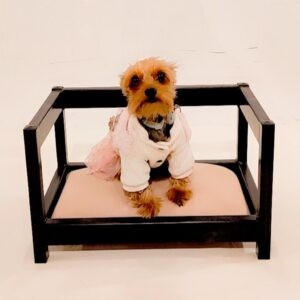 Cama de Perro Chica