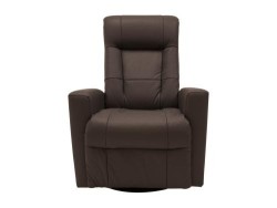Sillón Reclinable Chesapeake Eléctrico De Piel Color Café Marca Palliser