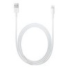 Cable Apple Lightning 1Mt MD818ZM/A