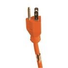 Extension GE 9FT 3 Entradas