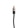 CABLE RCA MASTER (2 MTS)