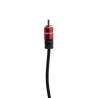 CABLE RCA MASTER (2 MTS)