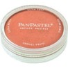PANPASTEL DE 9 ML