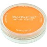 PANPASTEL DE 9 ML