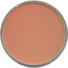 PAN PASTEL DE 9 ML