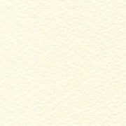 PAPEL RUSTICUS 95G 72X101CM