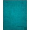 LIBRETA NORMA DAILY NOTES MINI RAYA 72 HOJAS