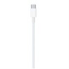 CABLE DE CARGA USB-C  (2M)