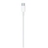 CABLE DE CARGA USB-C  (2M)