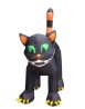 Gigant cat