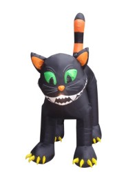 Gigant cat