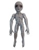 Area 51 prop