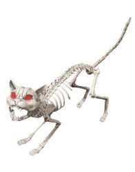 Animated cat skeleton