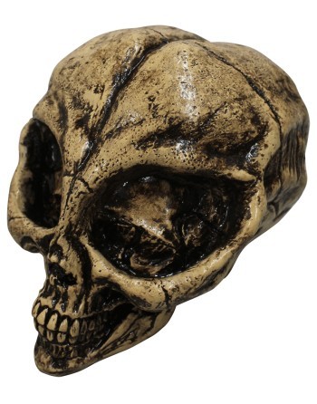 Alien resin skull