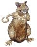 Disgusting Rat