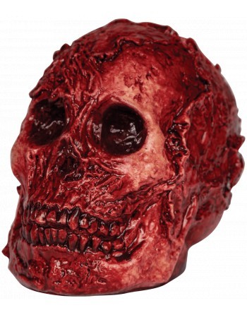 Fleshy Skull