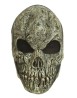 Old skull