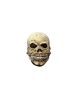 Calavera junior