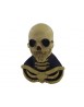 Long neck skull
