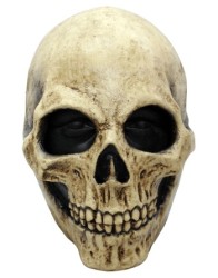 Bone skull