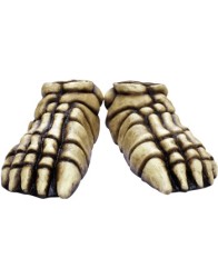 Skeleton feet bone colored