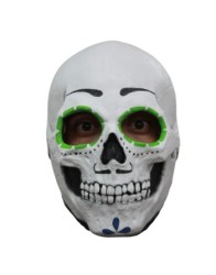 Catrin skull