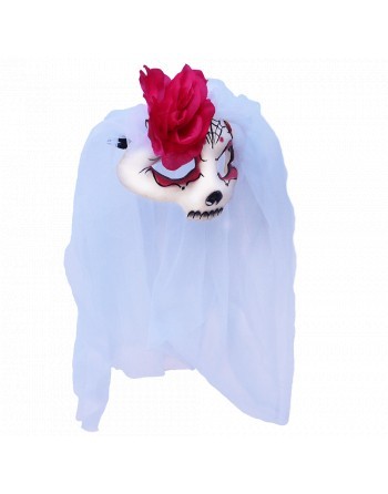 Catrina with veil 4
