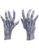 Kurten Claws