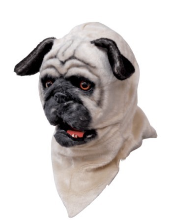 Pug moving mouth