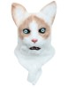 Ragdoll moving mouth