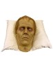 Roger pillow Pal