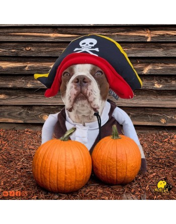 Disfraz de pirata para perro