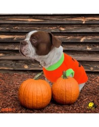 Disfraz de calabaza para...