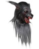Black wolf