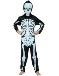 Mask skeleton