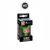 Funko Pop Keychain Sandy – Tokidoki