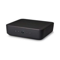 Adapt + Amp