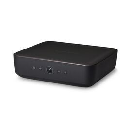 Adapt + Amp
