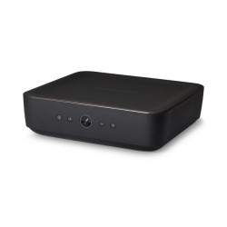 Adapt + Amp