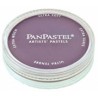 PANPASTEL 9ML