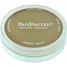 PANPASTEL DE 9 ML