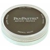PANPASTEL DE 9 ML