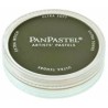 PANPASTEL DE 9 ML