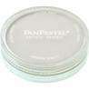 PANPASTEL DE 9 ML