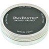 PANPASTEL DE 9 ML